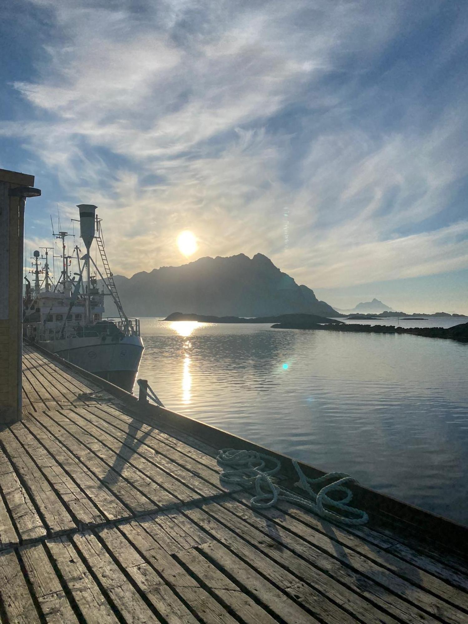 Lofoten Sea Lodge Sennesvik Ngoại thất bức ảnh